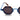 BOLD BLUE STRIPE TORTISE BLACK SUNGLASSES