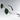 TOKYO GREEN CLEAR SUNGLASSES