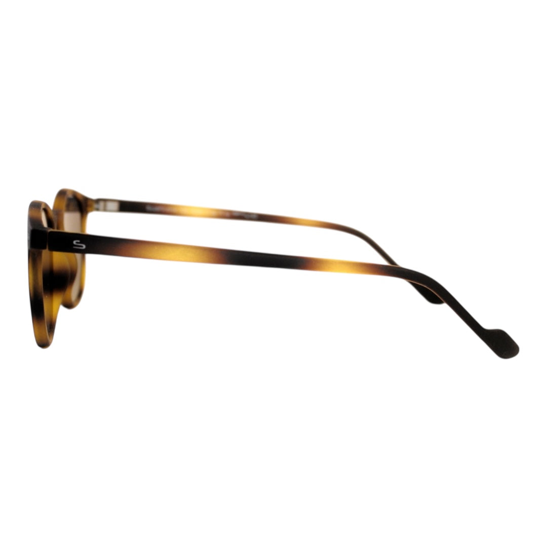 Willow Big Size Tepmle Havana  Line  Round