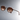 BOLD TORTIOSE BROWN GRANDIENT